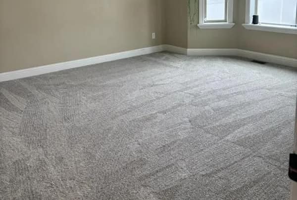 Room with carpet flooring