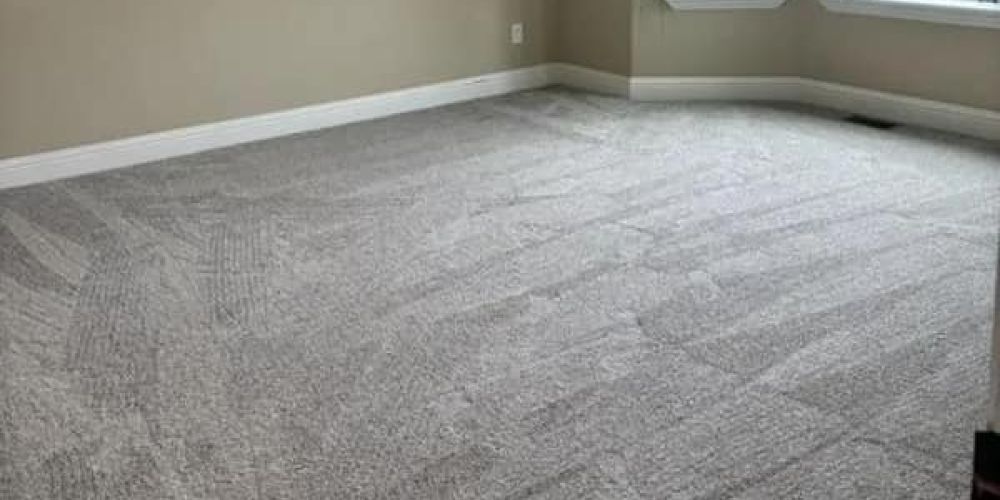 Room with carpet flooring