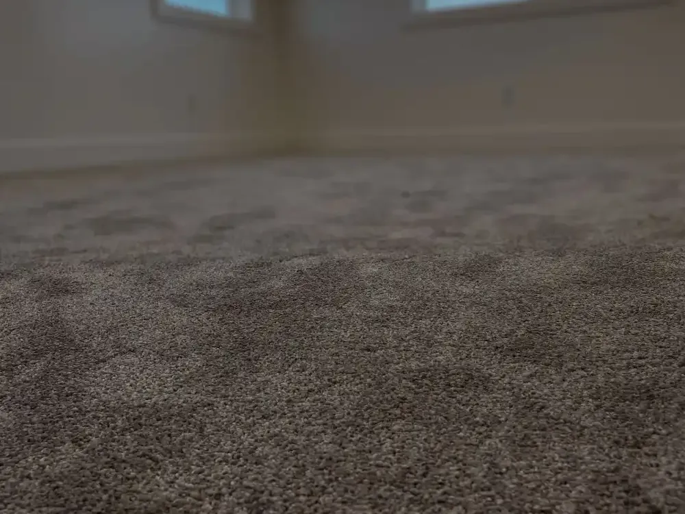 The Floor store portfolio